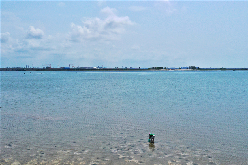 广西北海有一片红树林夏天风景优美海天一色很适合度假