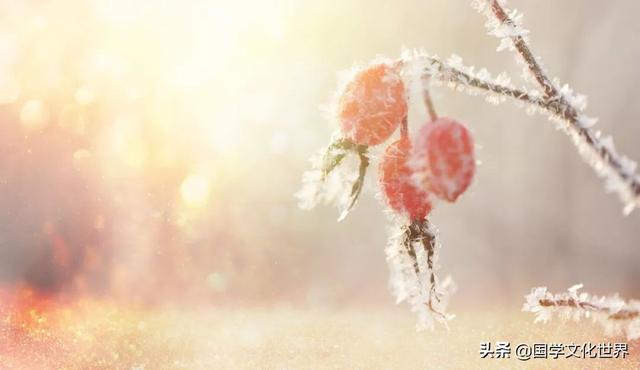 八首清雅的冬日雪诗，哪一首暖了你的寒冬呢？