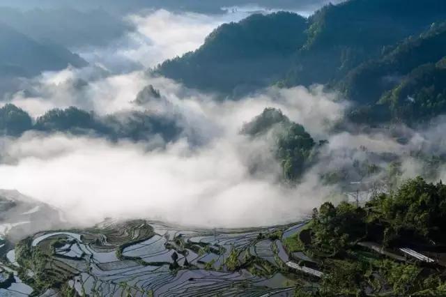 渝、鄂、湘、黔四省交界处，山水之间，不曾想竟藏着一座人间天堂