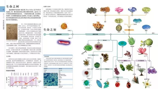 豆瓣9.7分，处处缺货的「宝藏」！把一整座自然博物馆搬回家