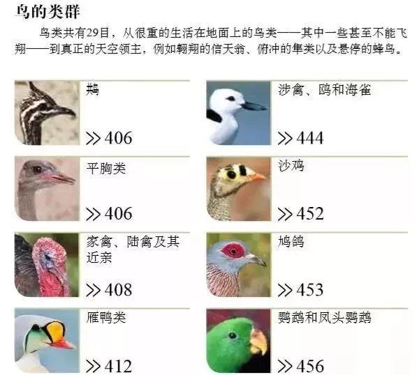 豆瓣9.7分，处处缺货的「宝藏」！把一整座自然博物馆搬回家