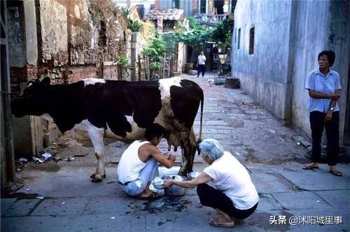 1983年中国珍贵历史老照片，矜持的男女关系，拉风的警察叔叔