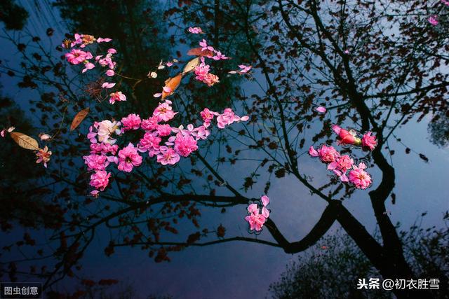 李煜词读：林花谢了春红，太匆匆