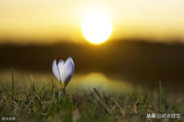 李商隐《春雨》：远路应悲春晼晚，“春晼晚”是一种怎样的意境？