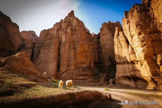 李白一首《将进酒》君不见黄河之水天上来、奔流到海不复还