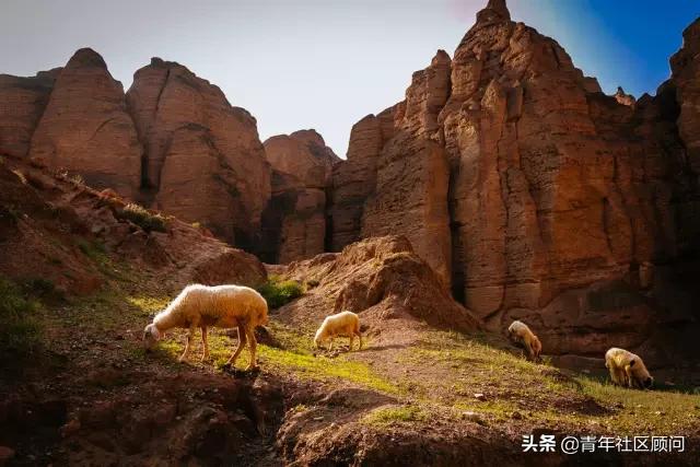 李白一首《将进酒》君不见黄河之水天上来、奔流到海不复还