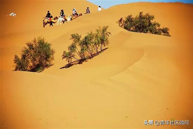 李白一首《将进酒》君不见黄河之水天上来、奔流到海不复还