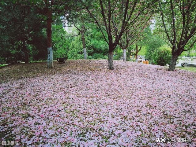 李煜词读：林花谢了春红，太匆匆