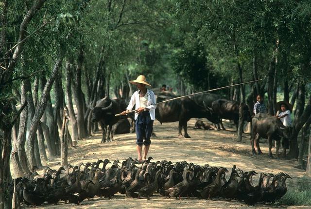 1979~1984年的中国老照片，张张都能当壁纸