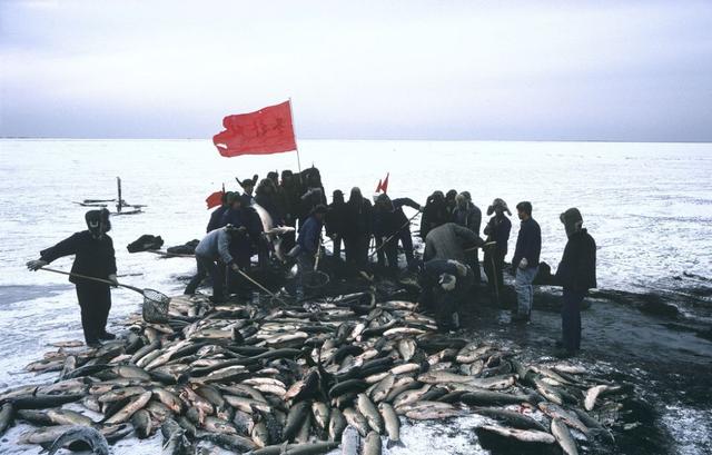 1979~1984年的中国老照片，张张都能当壁纸