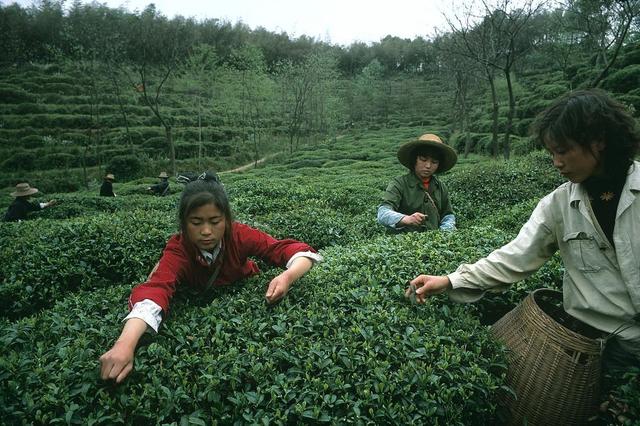 1979~1984年的中国老照片，张张都能当壁纸