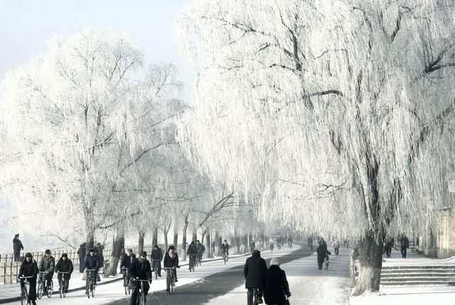 1979~1984年的中国老照片，张张都能当壁纸