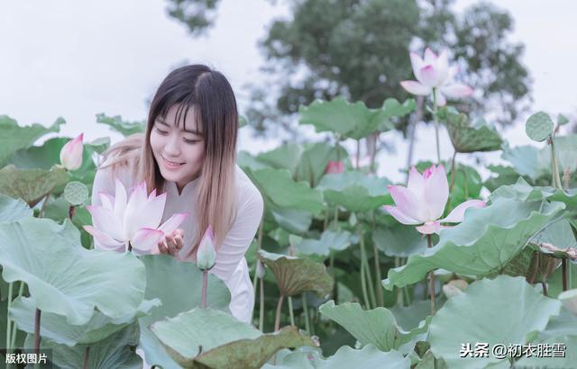 谈谈古诗十九首里的采莲花，涉江采芙蓉，所思在远道