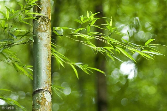 从《世说新语》见魏晋，评人物品藻，叹山水之美，感理想之境