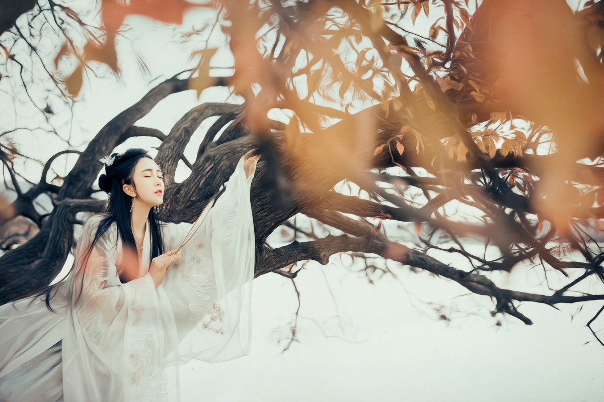 唯美养眼轻纱飘逸鹅蛋脸汉服美女的古风摄影图片