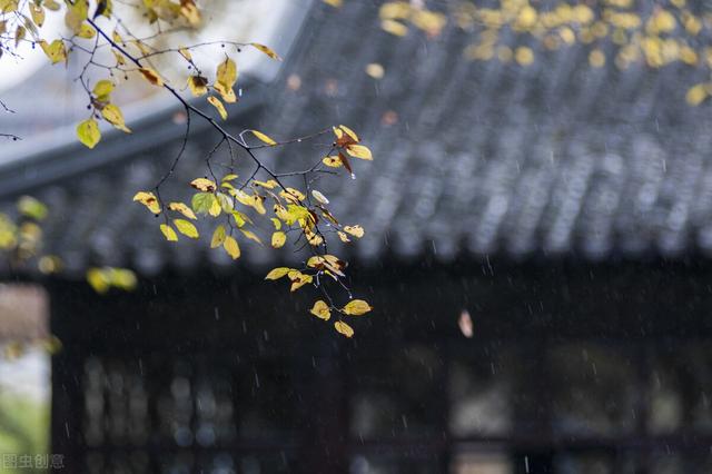 大雨连下两月，宰相对皇帝说大雨不损害庄稼，杜甫写一诗狠狠打脸