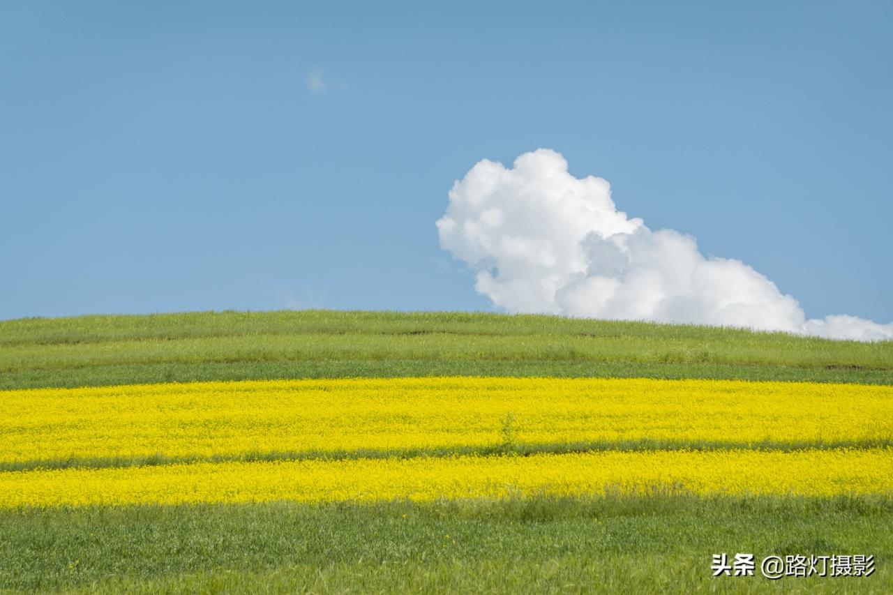 8月避暑好去处，甘南美成仙境，美仁大草原，养在深闺的天堂秘境