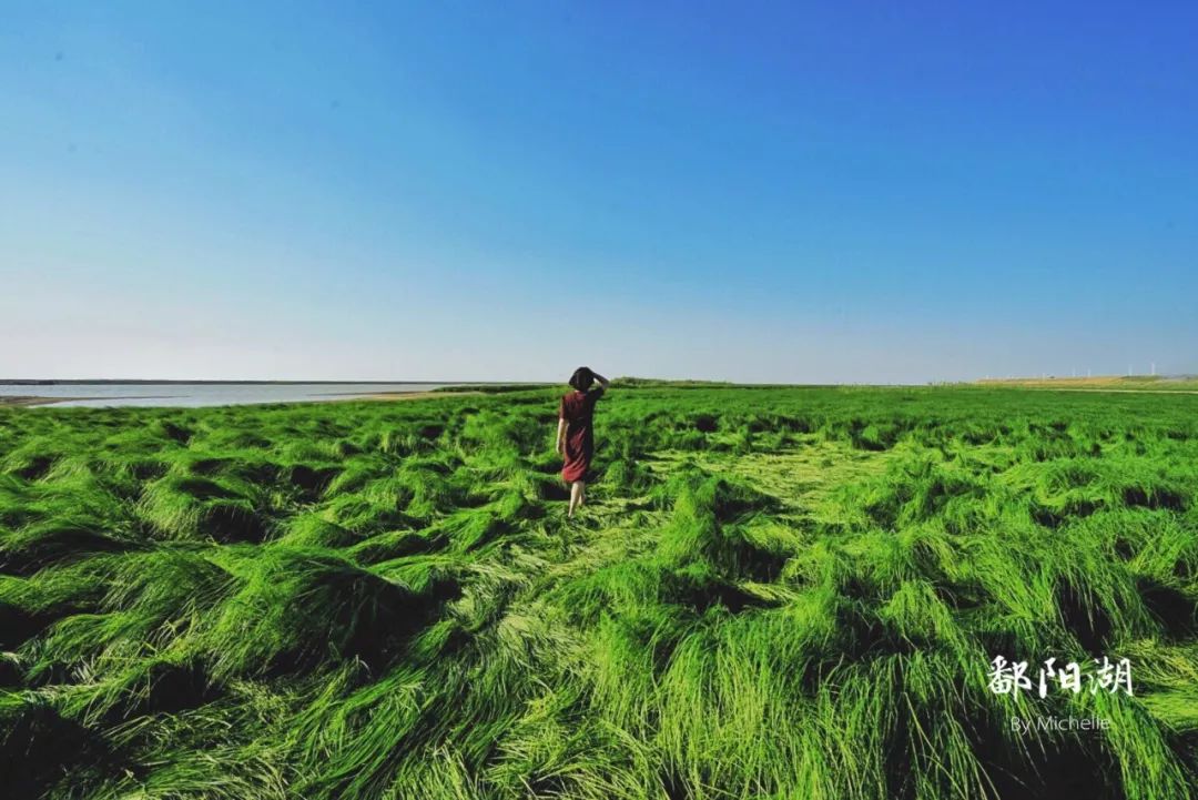 被青春环游记选中的风景！过神仙日子，这个村子来了就不想走