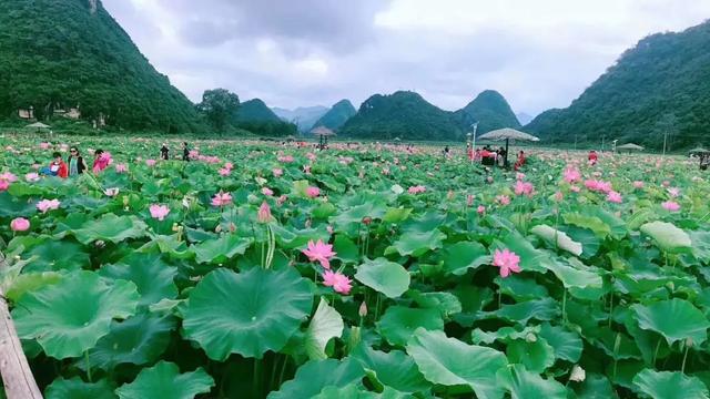 最适合8月去的几个地方，过一个清凉的盛夏