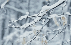 中华好诗词：当古诗词遇到雪，品味“雪”的一万种风情与姿态