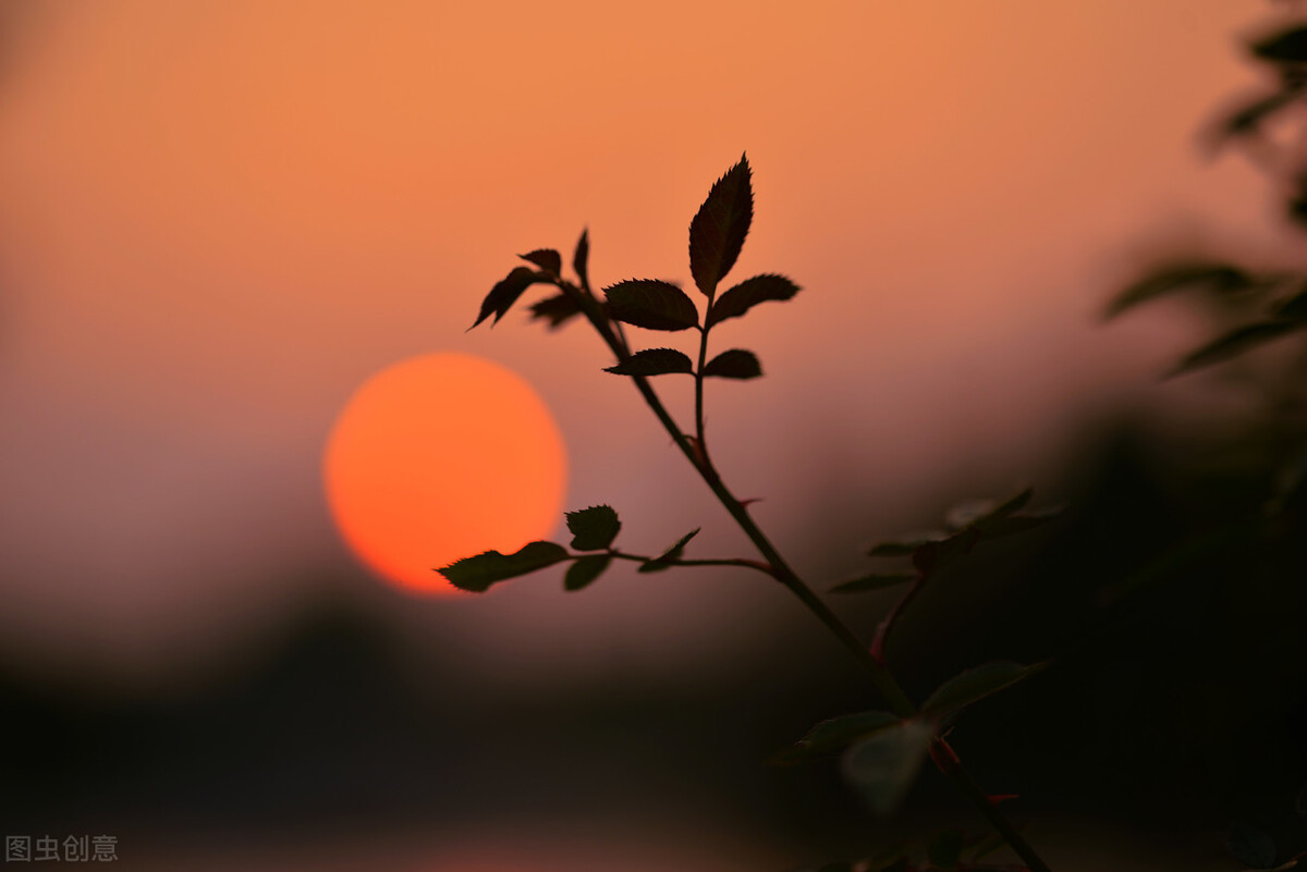 太纯粹的灵魂不能在人间呆太久