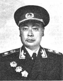 陈毅是华野司令员、新四军军长,为何是十