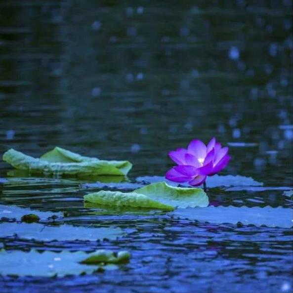 「诗词鉴赏」​立秋将至，在宋词中欣赏夏天，感受夏天的美丽