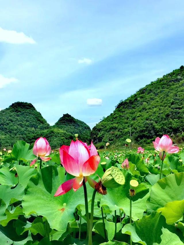 中国最美旅行地榜单，看到第三个，我就忍不住想出发了