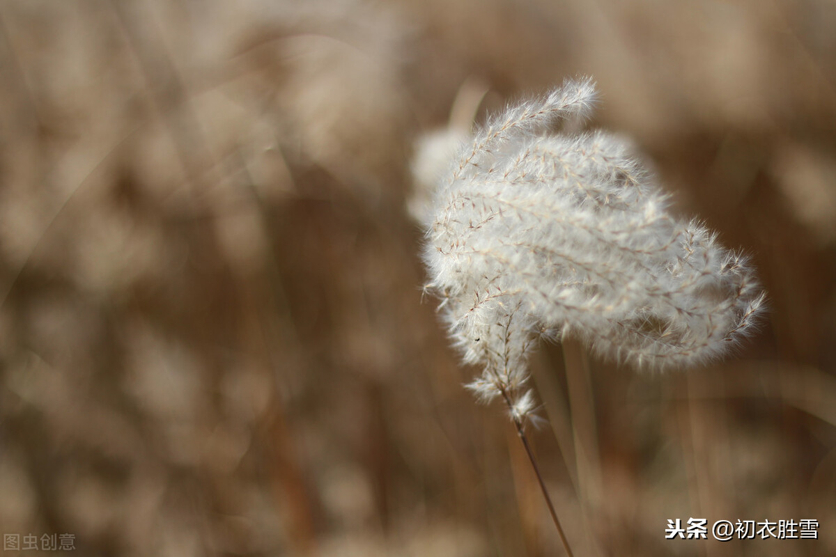 李白白露悲秋也别有气势，一首诗里三个季节，写尽迟暮悲凉