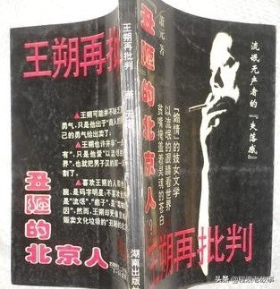 王朔：痞子文化的代表，冯小刚的贵人，和徐静蕾、王子文情感纠葛