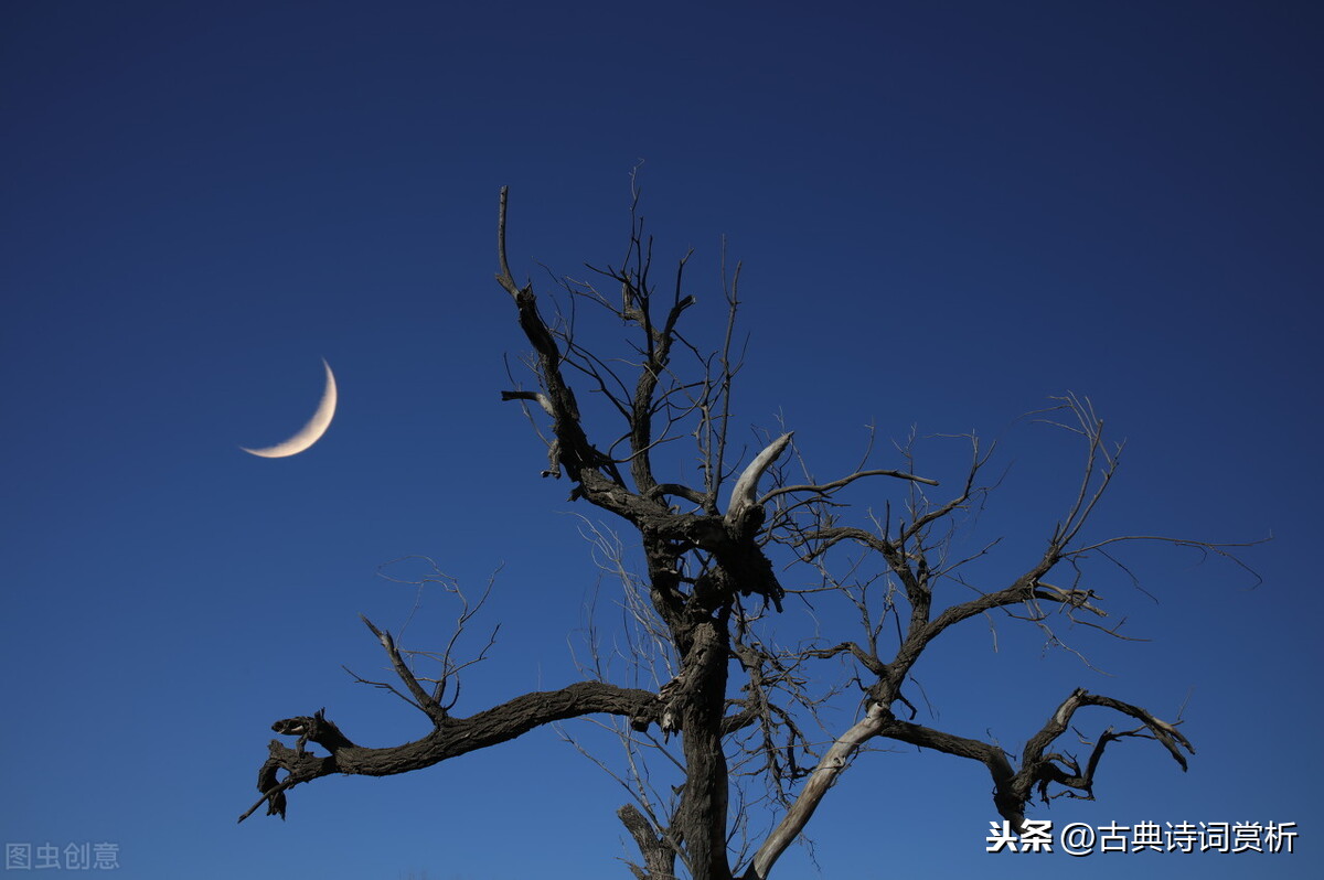 唐诗闲读|可怜九月初三夜,露似真珠月似弓