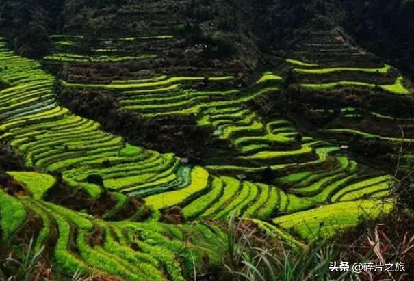 你也想要穷游吗？中国这些景点是最佳去处，景色秀丽还免费