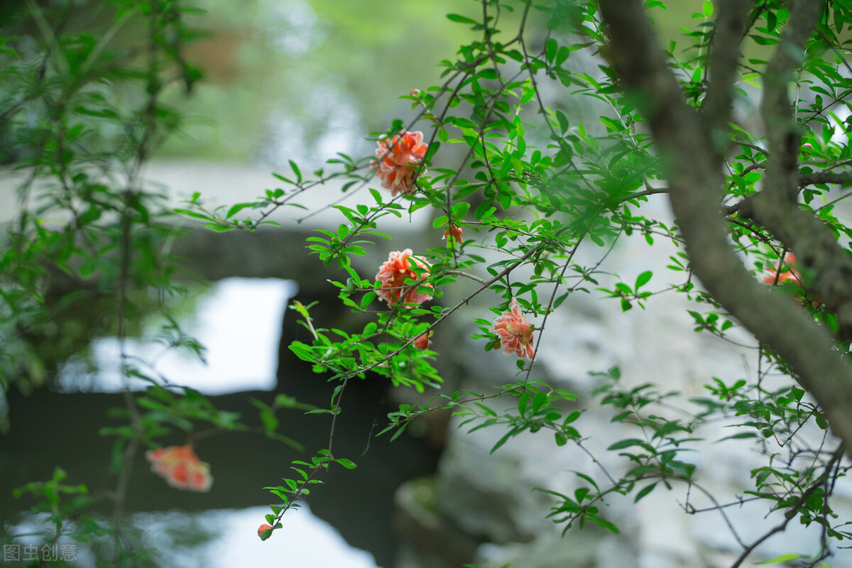 时光苍翠，人在天涯，流年瘦减了青春韶华