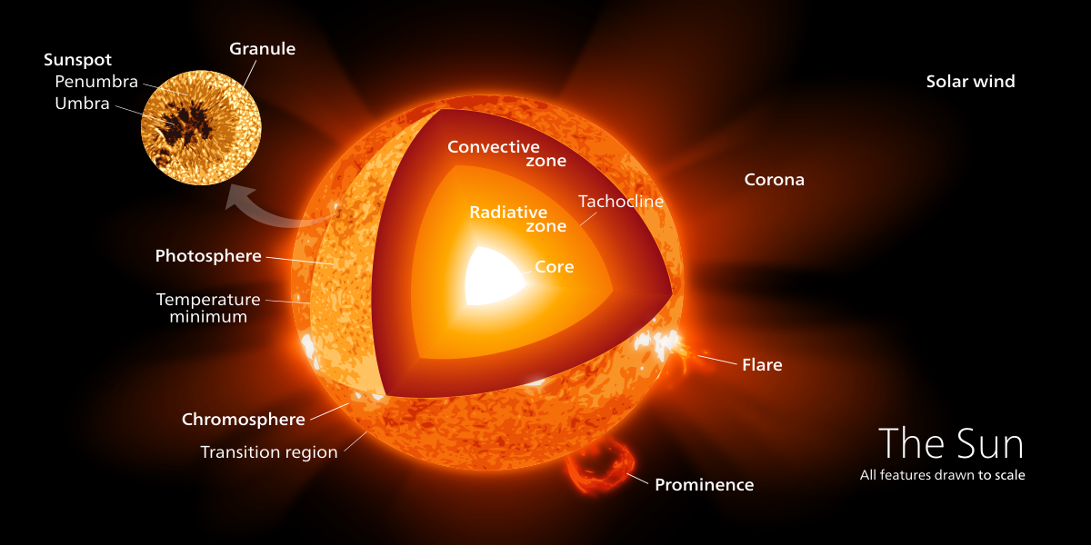 恒星中心可以孕育生命？科学家：你不知道生物可以有多极端