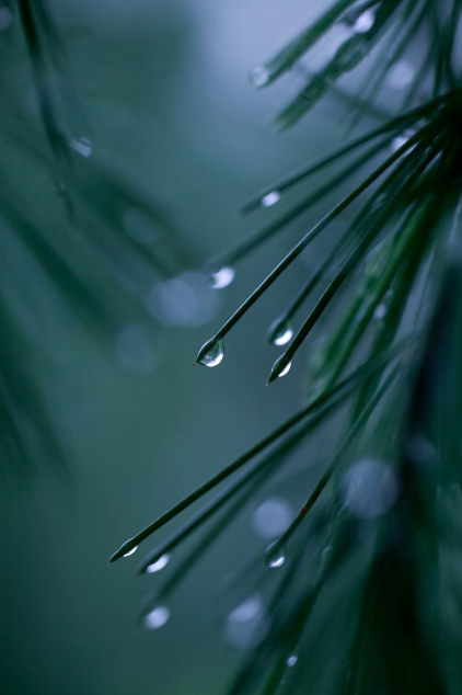 夜雨听秋 往事如烟，十首夜雨诗词，让你爱上深秋夜雨时