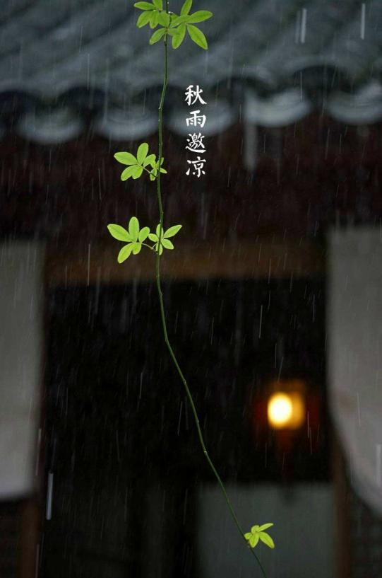 夜雨听秋 往事如烟