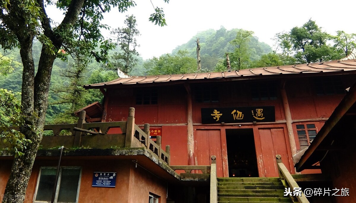 蜀国多仙山，峨眉邈难匹-山静云动，钟丽神秀峨眉山之旅