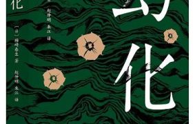 对战争缺少正面描写的《幻化》为何能成为日本反思二战高峰之作？