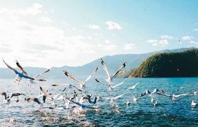 超级旅行家带你玩云南｜景点、路线、美食、防踩雷指南