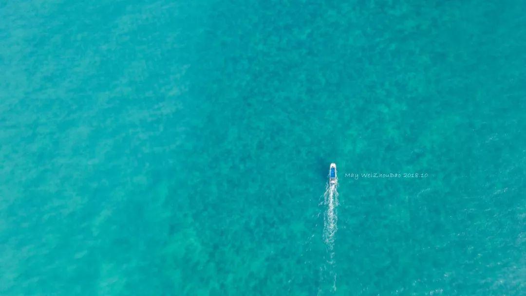 适合秋冬去的绝美海岛！终年均温23°C，真正面朝大海四季花开