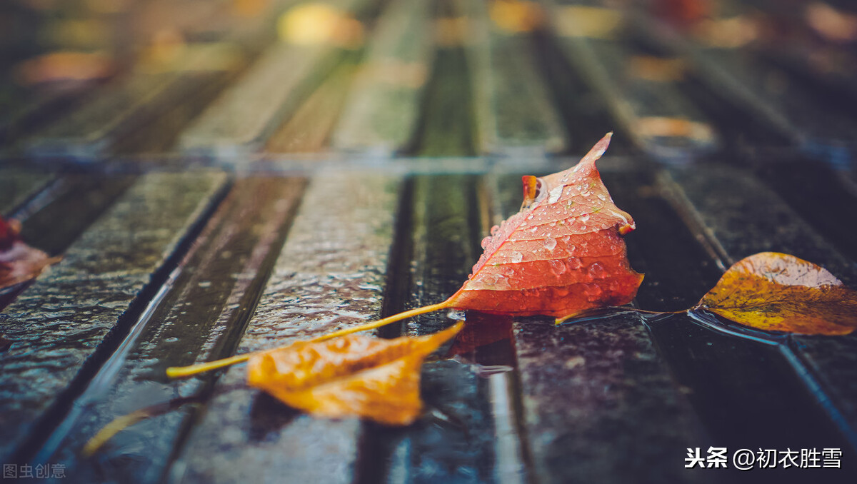 蒋捷《虞美人.听雨》，一生秋雨三听，写尽人生滋味