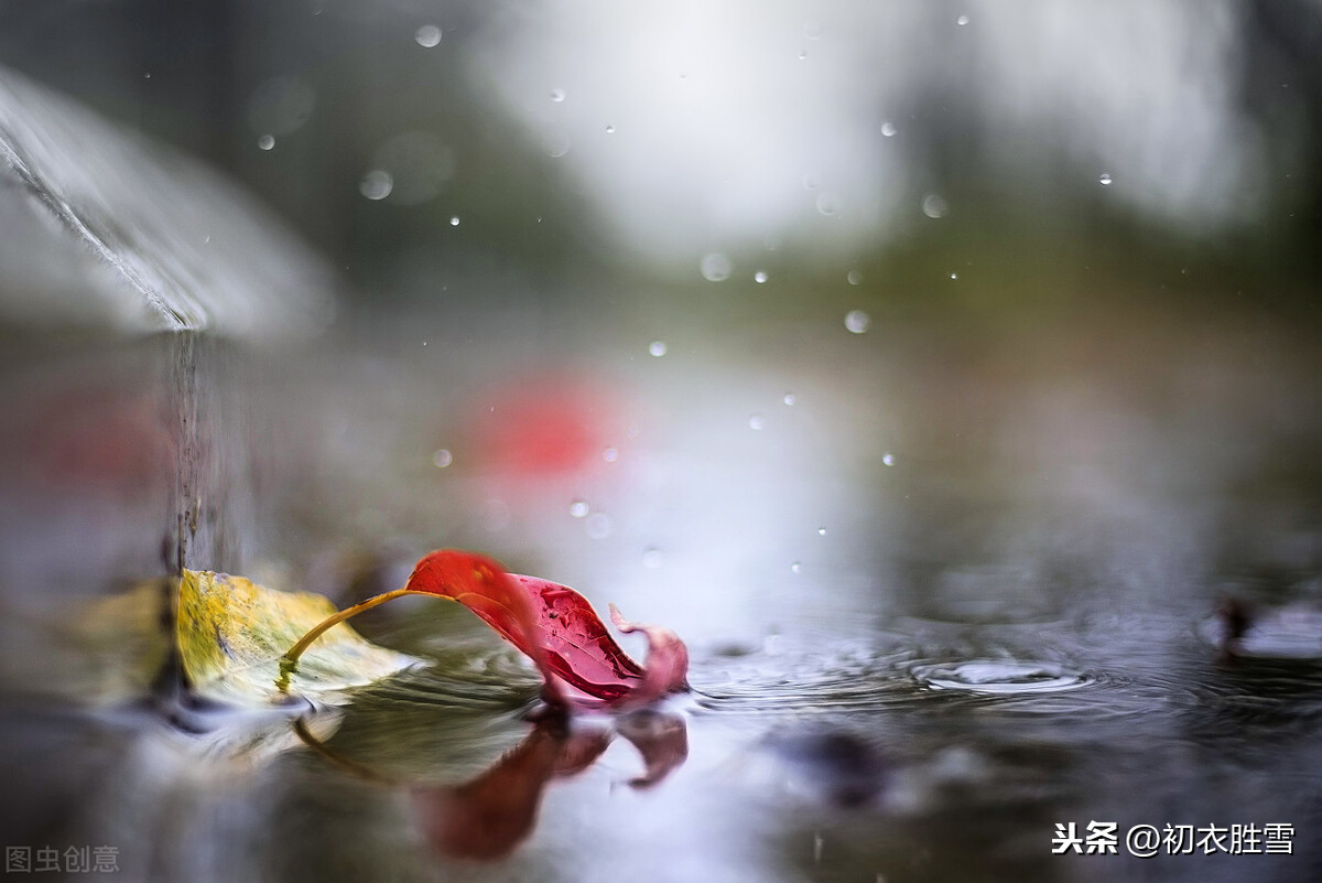 蒋捷《虞美人.听雨》，一生秋雨三听，写尽人生滋味