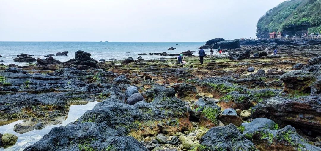 适合秋冬去的绝美海岛！终年均温23°C，真正面朝大海四季花开