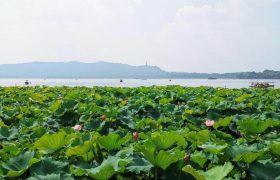 上有天堂，下有苏杭。假期你一定要看的杭州旅游攻略