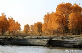 纳兰性德两首塞外重阳节，深秋绝塞谁相忆，木叶萧萧