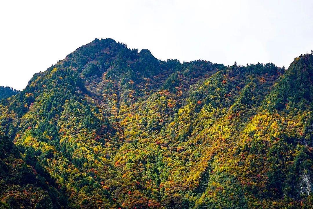 四川阿坝州的这座小城，入围天府旅游名县，究竟有何出色之处？