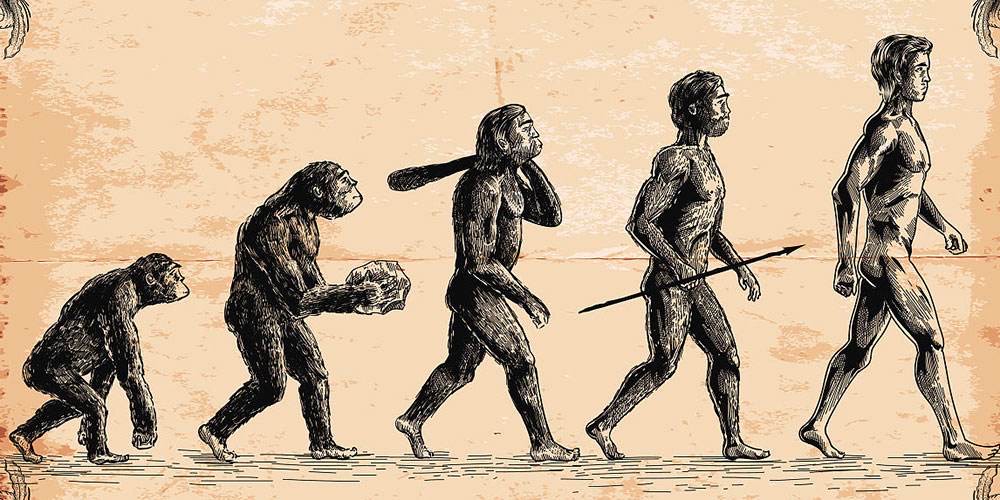 人类男性在进化过程中,为何隐私部位会丢失一块骨头?有何影响?