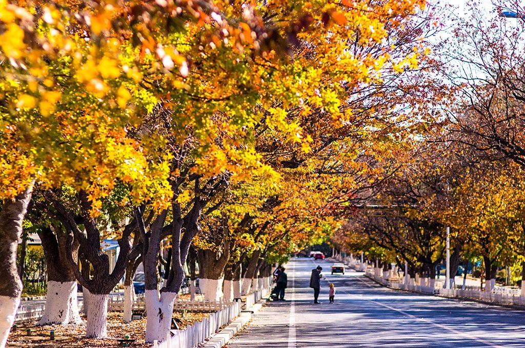 10月旅行地推荐！国内第一批绝美秋景出炉，第一个就心动……