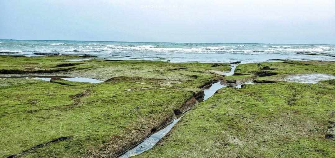 适合秋冬去的绝美海岛！终年均温23°C，真正面朝大海四季花开