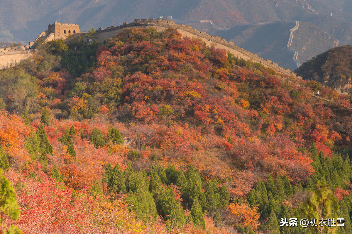 爱新觉罗敦敏：遥山干迭白云径，清磬一声黄叶村，是吊曹雪芹吗？